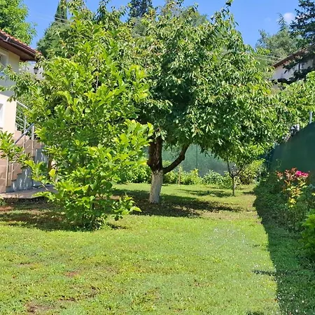 спирката 펜션 *